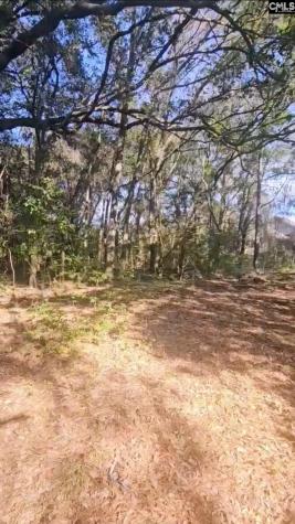 301 7th Avenue Mt Pleasant SC 29464