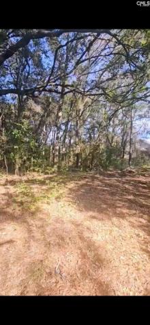 301 7th Avenue Mt Pleasant SC 29464