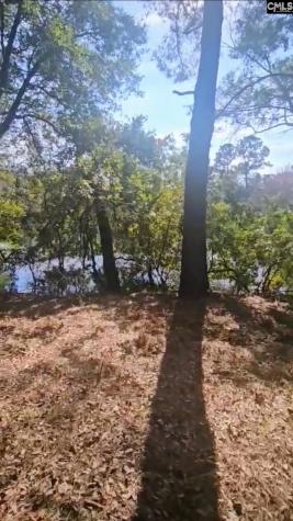 301 7th Avenue Mt Pleasant SC 29464