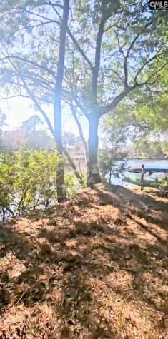 301 7th Avenue Mt Pleasant SC 29464