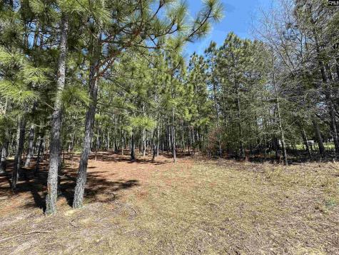 Lot 1 Mimosa Drive Gaston SC 29053