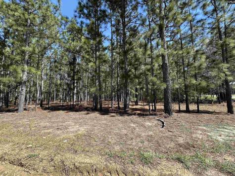Lot 1 Mimosa Drive Gaston SC 29053
