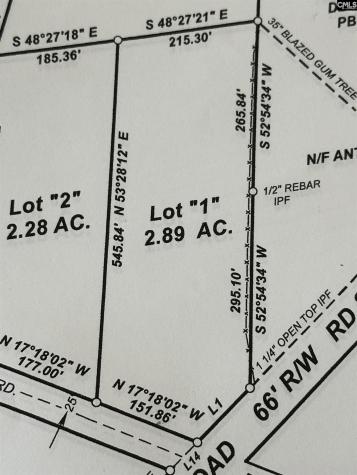 Lot 1 Mimosa Drive Gaston SC 29053