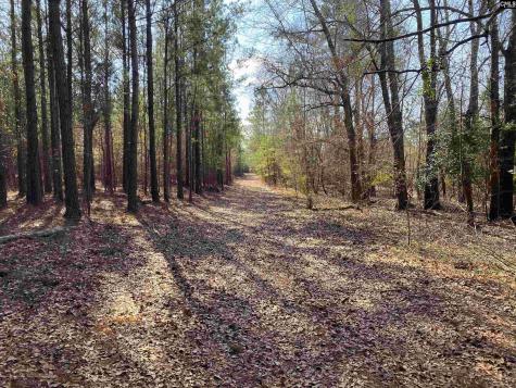 Tbd 1 Juniper Road Barnwell SC 29843
