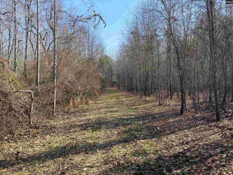 Tbd 1 Juniper Road Barnwell SC 29843