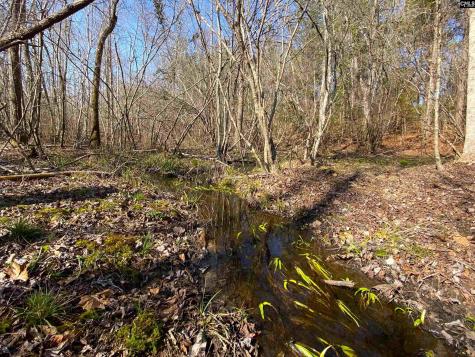 Tbd 1 Juniper Road Barnwell SC 29843
