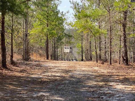 Tbd 1 Juniper Road Barnwell SC 29843
