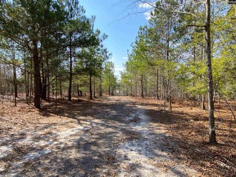 Tbd 1 Juniper Road Barnwell SC 29843