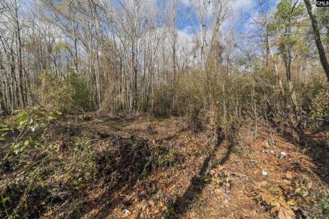 776 Shillings Bridge Road Orangeburg SC 29115
