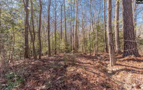 0 Morgan Drive Lexington SC 29072