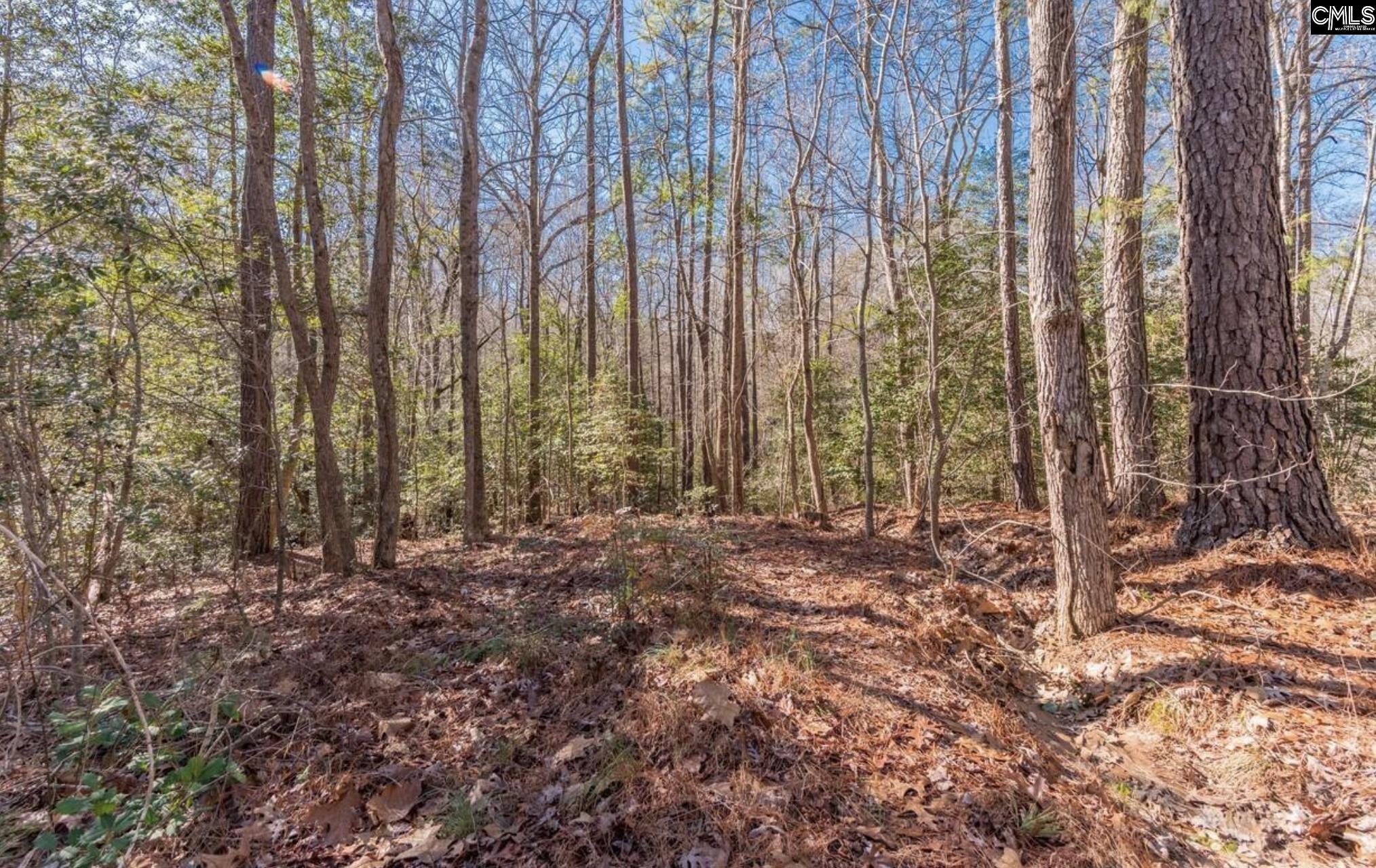 0 Morgan Drive Lexington SC 29072