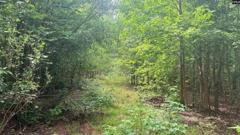 00 Old Cherokee Trail Saluda SC 29138