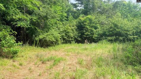 00 Old Cherokee Trail Saluda SC 29138