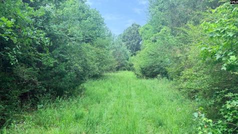 00 Old Cherokee Trail Saluda SC 29138
