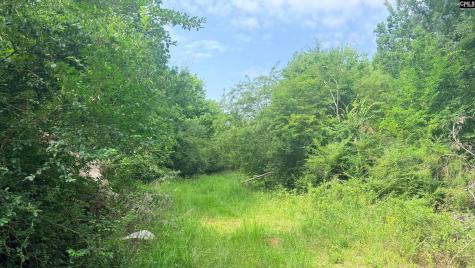 00 Old Cherokee Trail Saluda SC 29138