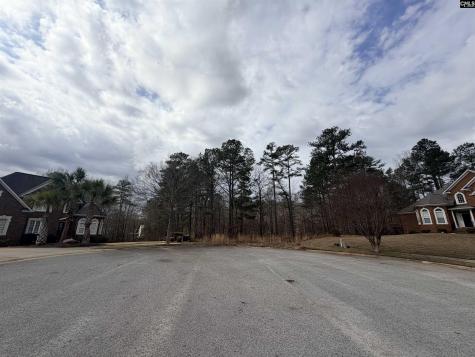 92 Cannonade Court Irmo SC 29063