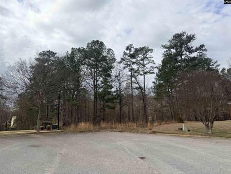 92 Cannonade Court Irmo SC 29063