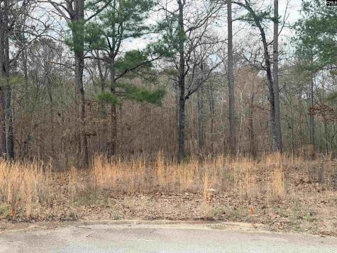 92 Cannonade Court Irmo SC 29063