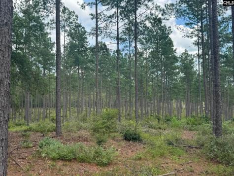 Beaver Creek Road Swansea SC 29160