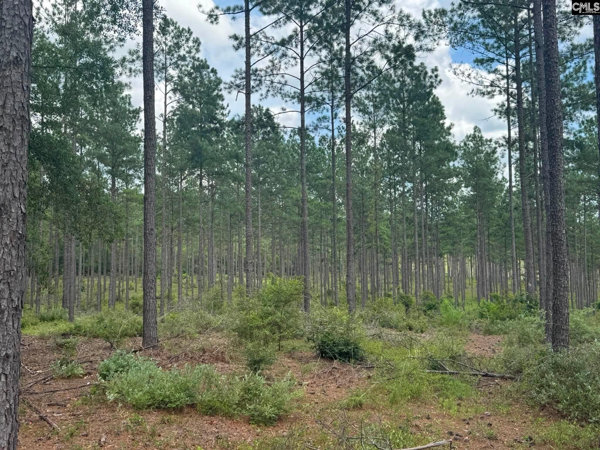 Beaver Creek Road Swansea SC 29160