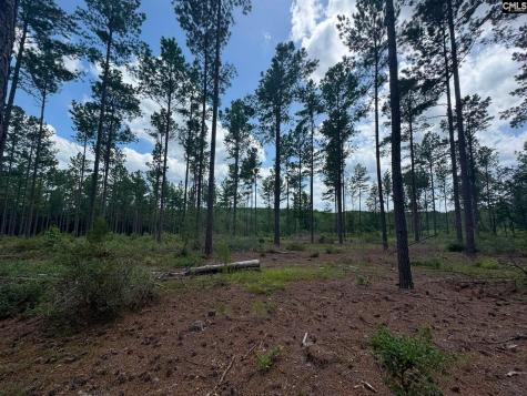 Beaver Creek Road Swansea SC 29160
