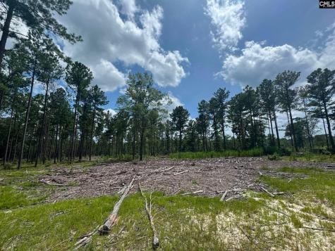 Beaver Creek Road Swansea SC 29160