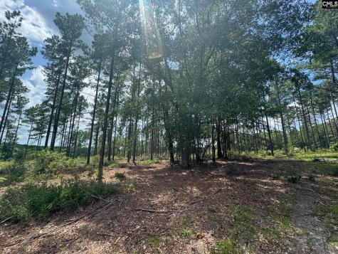 Beaver Creek Road Swansea SC 29160