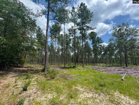 Beaver Creek Road Swansea SC 29160