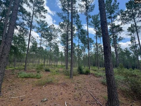 Beaver Creek Road Swansea SC 29160