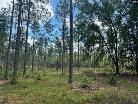 Beaver Creek Road Swansea SC 29160
