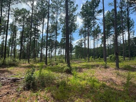 Beaver Creek Road Swansea SC 29160
