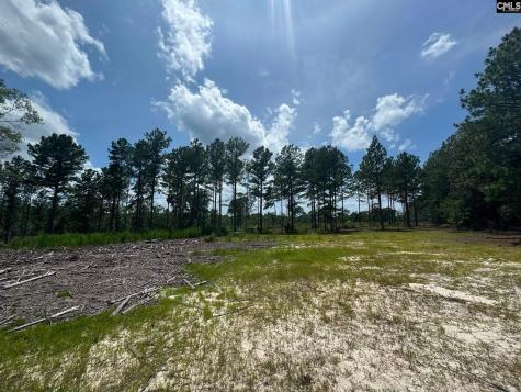 Beaver Creek Road Swansea SC 29160
