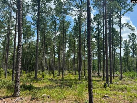 Beaver Creek Road Swansea SC 29160