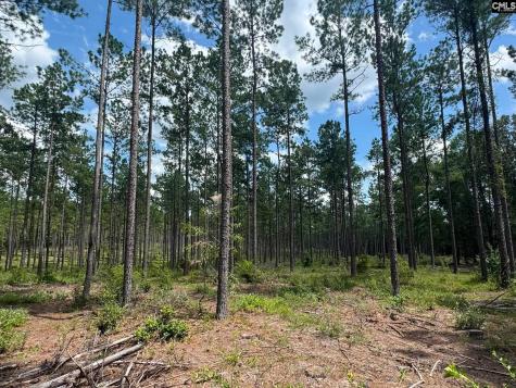 Beaver Creek Road Swansea SC 29160