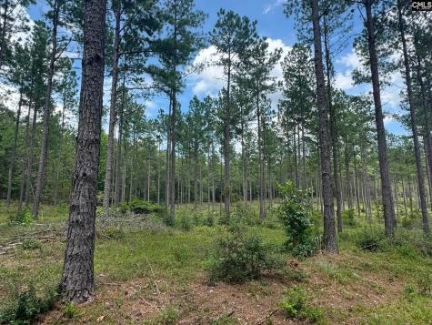 Beaver Creek Road Swansea SC 29160