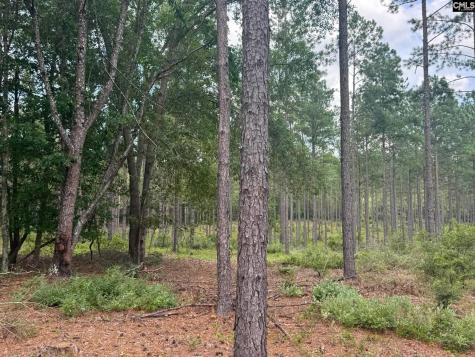 Beaver Creek Road Swansea SC 29160