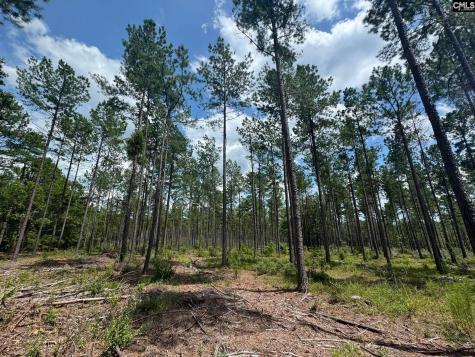 Beaver Creek Road Swansea SC 29160
