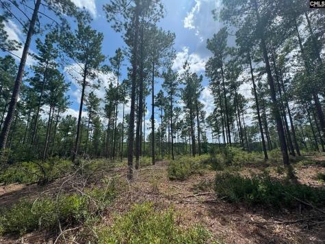 Beaver Creek Road Swansea SC 29160
