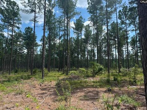 Beaver Creek Road Swansea SC 29160