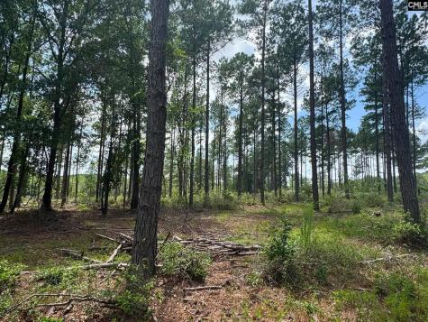 Beaver Creek Road Swansea SC 29160