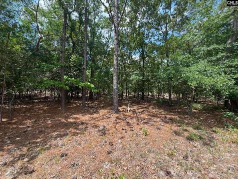 Beaver Creek Road Swansea SC 29160