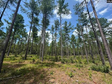 Beaver Creek Road Swansea SC 29160