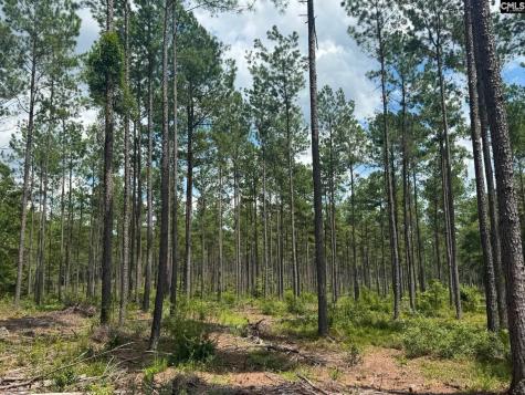 Beaver Creek Road Swansea SC 29160