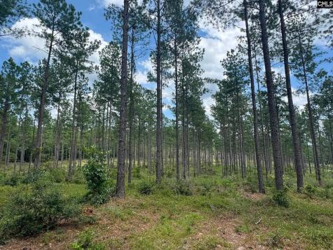 Beaver Creek Road Swansea SC 29160