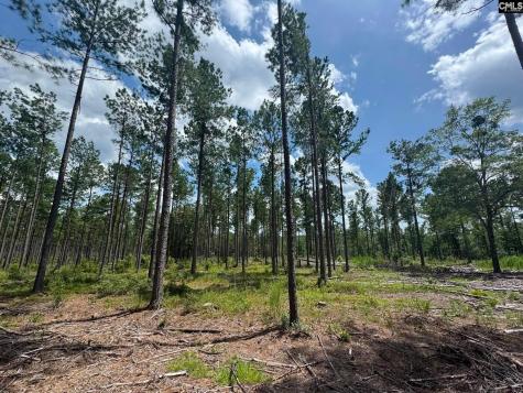Beaver Creek Road Swansea SC 29160