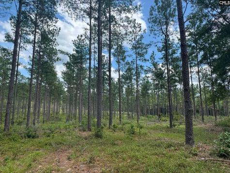 Beaver Creek Road Swansea SC 29160