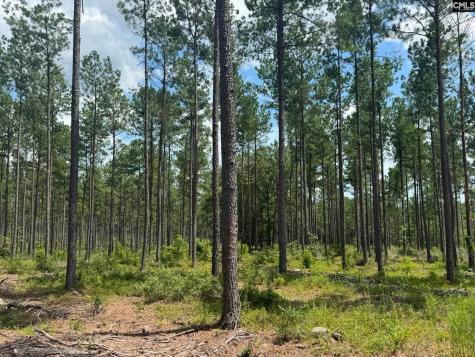 Beaver Creek Road Swansea SC 29160