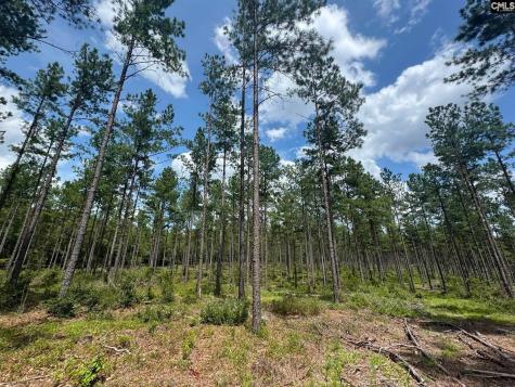 Beaver Creek Road Swansea SC 29160