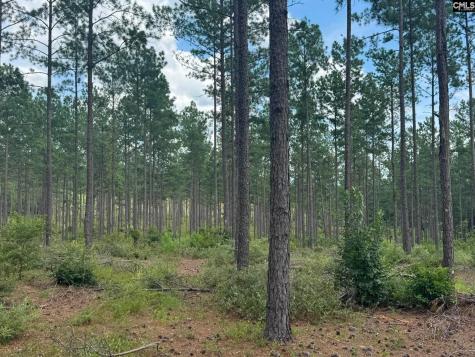 Beaver Creek Road Swansea SC 29160