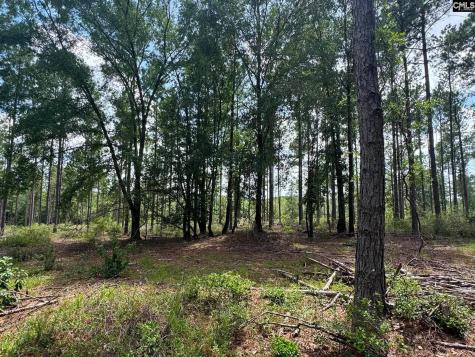Beaver Creek Road Swansea SC 29160